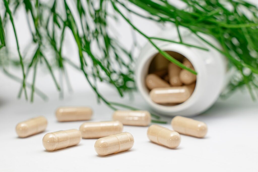 Mejores suplementos naturales de hierbas para el embarazo 2026